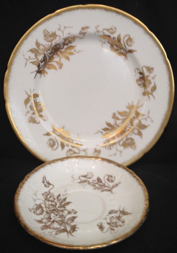 Paragon Golden Glory